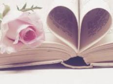valentine book with rose