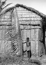 plaited palm and hut